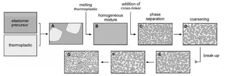 TPV dynamic vulcanization process